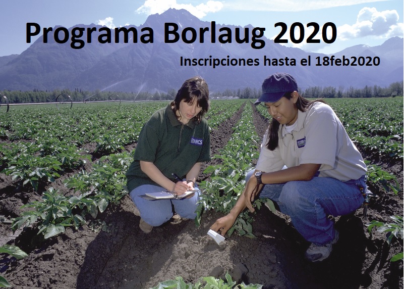 Programa BORLAUG 2020: Inscripciones abiertas hasta el 18 Feb. 2020!